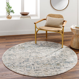 Surya Dresden DRE-2304 Area Rug Room Scene 3