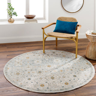 Surya Dresden DRE-2307 Area Rug Room Scene 2