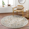 Surya Dresden DRE-2308 Area Rug  Room Scene 2