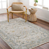 Surya Dresden DRE-2309 Area Rug Room Scene 3