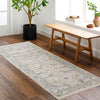 Surya Dresden DRE-2309 Area Rug Room Scene 2