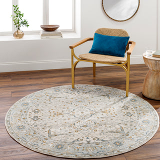 Surya Dresden DRE-2309 Area Rug Room Scene 4