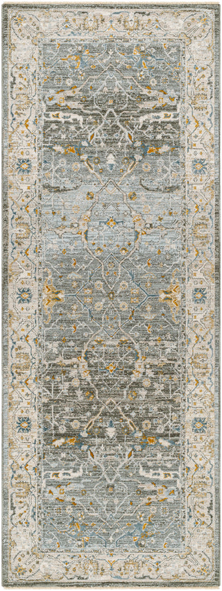 Surya Dresden DRE-2310 Area Rug 2'7'' X 7'3'' Runner