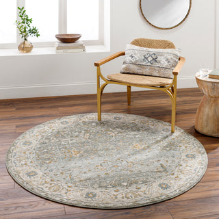 Surya Dresden DRE-2310 Area Rug Room Scene Featured