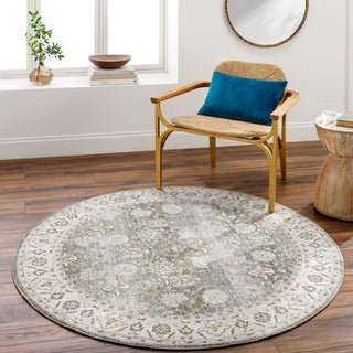 Surya Dresden DRE-2312 Area Rug Room Scene 3