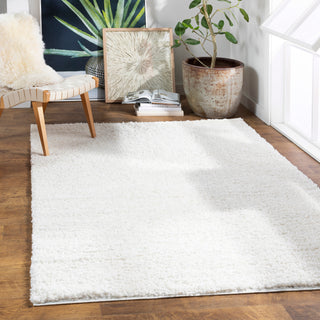 Surya Deluxe Shag DXS-2300 Area Rug Room Scene Featured 