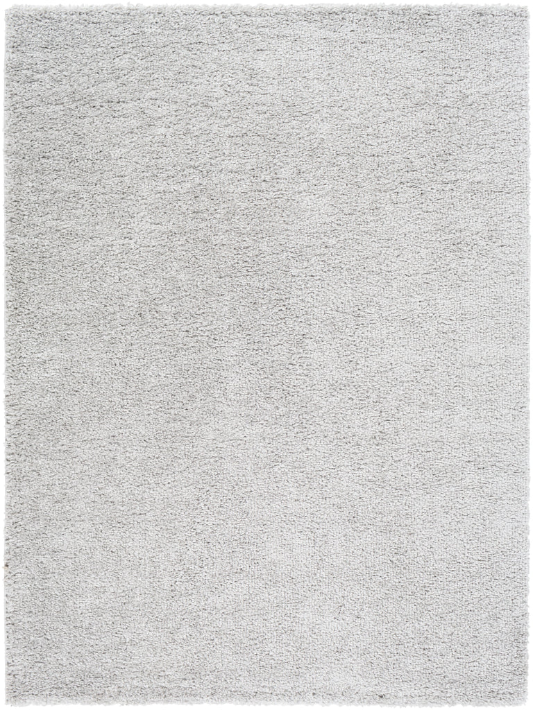 Surya Deluxe Shag DXS-2302 Area Rug Main Image 