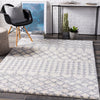 Surya Deluxe Shag DXS-2312 Area Rug Room Scene Featured 