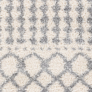 Surya Deluxe Shag DXS-2312 Area Rug Close Up 