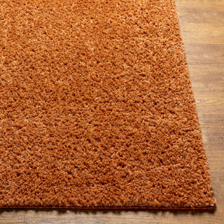 Surya Deluxe Shag DXS-2322 Area Rug Corner 