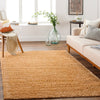 Surya Deluxe Shag DXS-2324 Area Rug Room Scene Featured 