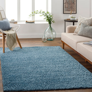 Surya Deluxe Shag DXS-2325 Area Rug Room Scene Featured 