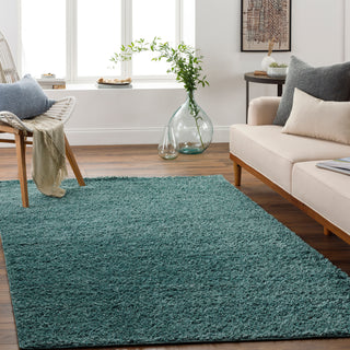 Surya Deluxe Shag DXS-2326 Area Rug Room Scene Featured 