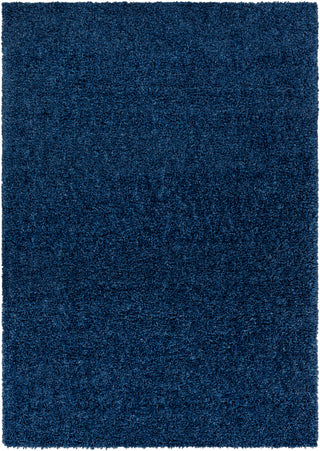 Surya Deluxe Shag DXS-2327 Area Rug Main Image 