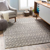 Surya Eagean EAG-2334 Area Rug Room Scene Featured 