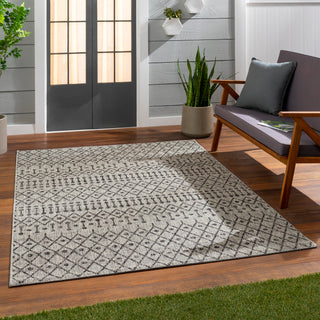 Surya Eagean EAG-2334 Area Rug Room Scene 2