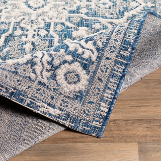 Surya Eagean EAG-2336 Area Rug Rolled 