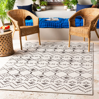 Surya Eagean EAG-2339 Area Rug Room Scene Featured 