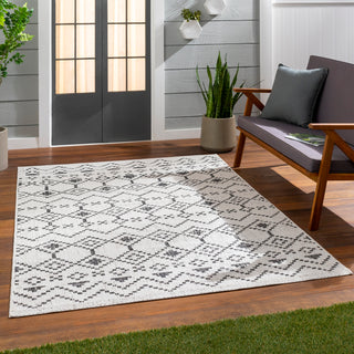 Surya Eagean EAG-2339 Area Rug Room Scene 2