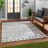 Surya Eagean EAG-2341 Area Rug Room Scene 2