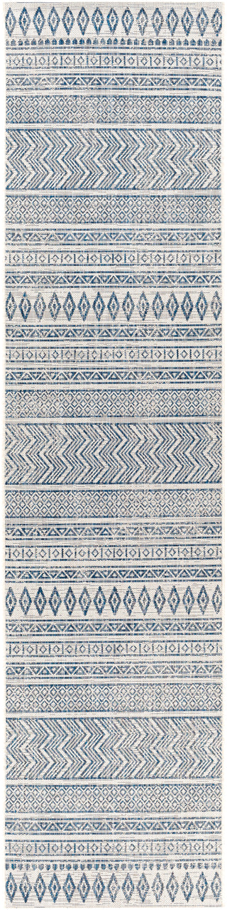 Surya Eagean EAG-2344 Area Rug 2'7"x10' Runner 