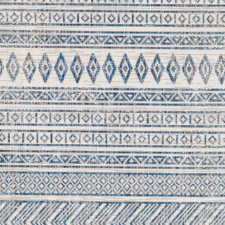 Surya Eagean EAG-2344 Area Rug Close Up 