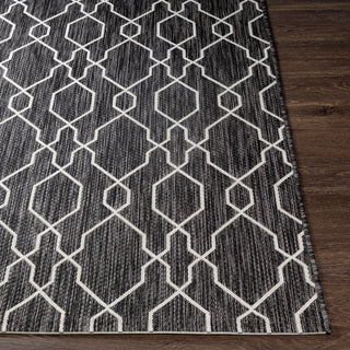 Surya Eagean EAG-2384 Area Rug Corner 