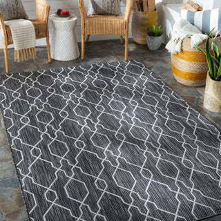 Surya Eagean EAG-2384 Area Rug Room Scene Featured 