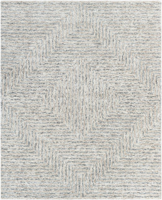 Surya Falcon FLC-8000 Area Rug 8 X 10