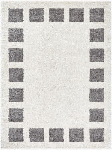 Livabliss Fossay Shag FSG-2316 Machine Washable Area Rug by Surya 5 X 8