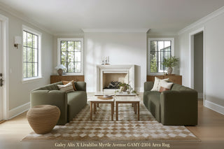 Galey Alix X Livabliss Myrtle Avenue GAMY-2304 Area Rug Featured image