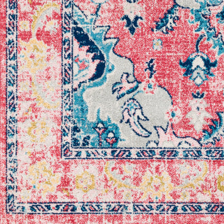 Surya Harput HAP-1112 Area Rug Close Up 