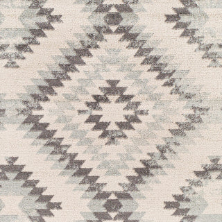 Surya Harput HAP-1139 Area Rug Close Up 