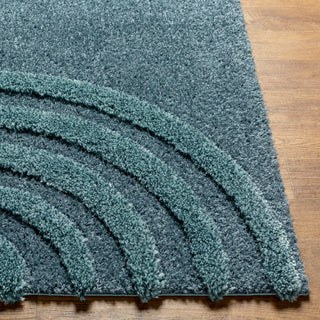 Surya Hudson Shag HDS-2305 Area Rug Corner 