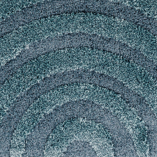 Surya Hudson Shag HDS-2305 Area Rug Close Up 