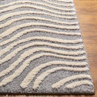 Surya Hudson Shag HDS-2307 Area Rug Corner 