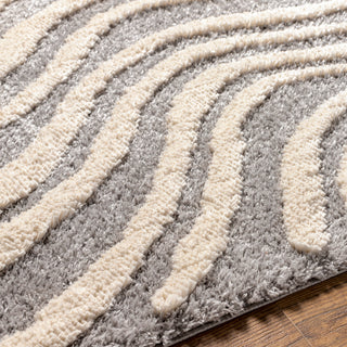 Surya Hudson Shag HDS-2307 Area Rug Edge 