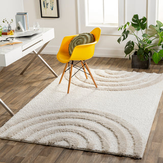 Surya Hudson Shag HDS-2308 Area Rug Room Scene Featured 