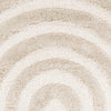 Surya Hudson Shag HDS-2308 Area Rug Close Up 