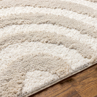 Surya Hudson Shag HDS-2308 Area Rug Edge 