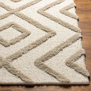 Surya Hudson Shag HDS-2309 Area Rug Corner 