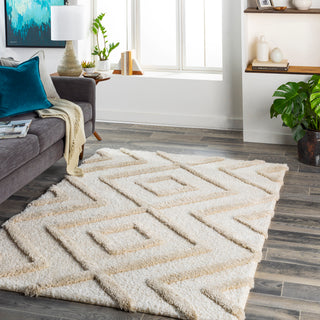 Surya Hudson Shag HDS-2309 Area Rug Room Scene Featured 