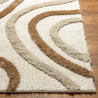 Surya Hudson Shag HDS-2311 Area Rug Corner