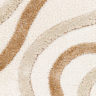 Surya Hudson Shag HDS-2311 Area Rug Close Up 