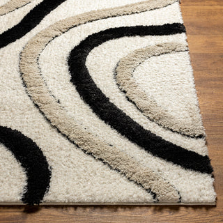 Surya Hudson Shag HDS-2312 Area Rug Corner 