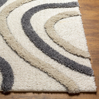 Surya Hudson Shag HDS-2313 Area Rug Corner 