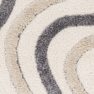 Surya Hudson Shag HDS-2313 Area Rug Close Up 