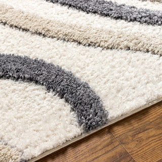 Surya Hudson Shag HDS-2313 Area Rug Edge 