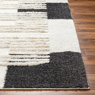 Surya Hudson shag HDS-2314 Area Rug