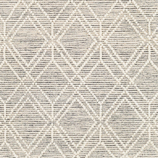 Surya Hemingway HMG-2300 Area Rug Close Up 